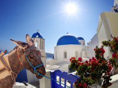 Overweight tourists banned from riding donkeys in Santorini