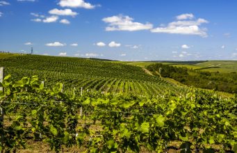 Why wine lovers should be planning a trip to Moldova