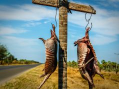 14 images of your real Paraguay