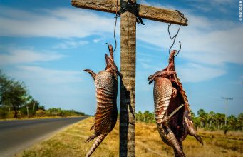 14 images of your real Paraguay