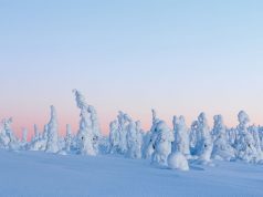 To have an unbeatable winter wonderland holiday, you have to go to Finland