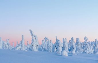 To have an unbeatable winter wonderland holiday, you have to go to Finland