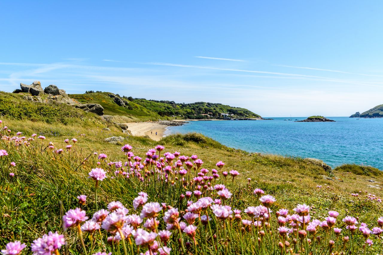 Spring wildflowers on the coast of Herm, UK