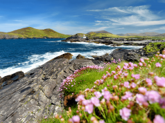 Top 5 Places To Visit on an Irish Road Trip