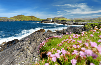 Top 5 Places To Visit on an Irish Road Trip