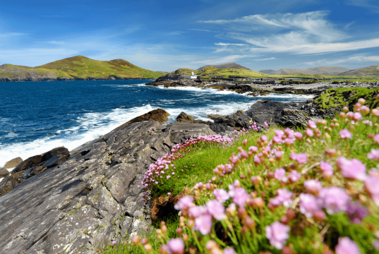 Top 5 Places To Visit on an Irish Road Trip