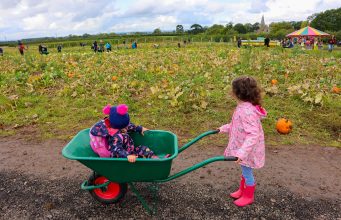 England: 7 Great PYO Pumpkin Patches in East Yorkshire