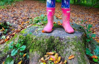 England: 10 Wonderful Autumn Walks In Yorkshire