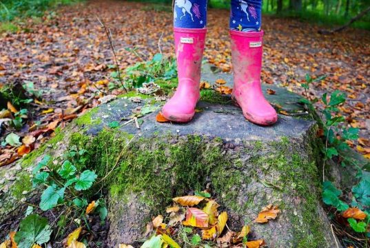 England: 10 Wonderful Autumn Walks In Yorkshire