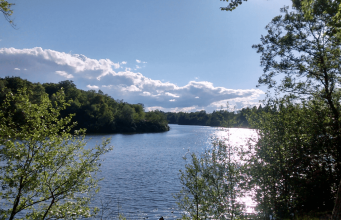 England: Windsor Great Park – a Hidden Gem in the Heart of England