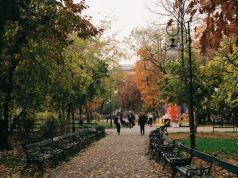 3 Must-See Attractions in Bucharest, Romania
