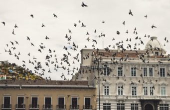 Savor the City and Nature in Quito, Ecuador