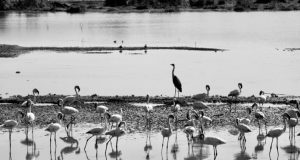 3 Breathtaking Lakes That You Shouldn't Miss in Tanzania