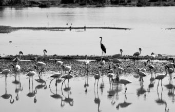 3 Breathtaking Lakes That You Shouldn't Miss in Tanzania