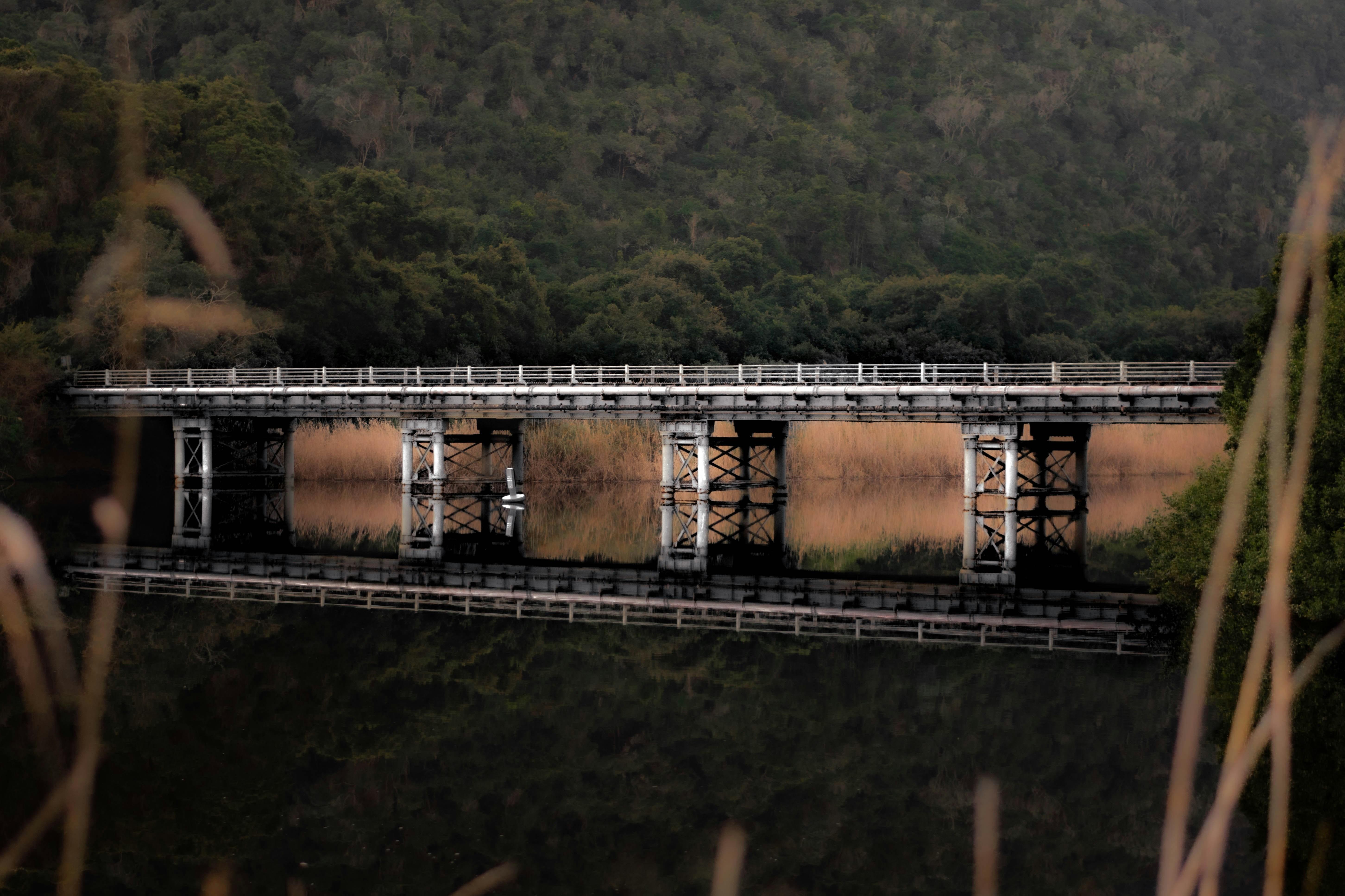Patagonian Secrets Unraveling the Mysteries of Southern Wilderness