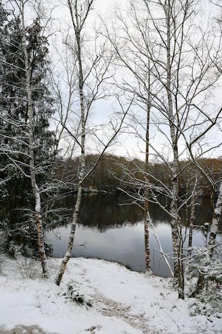 Wander Through Winter Wonderlands