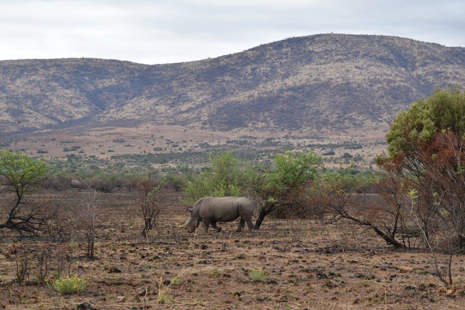 Crafting Policies for Long-Term ⁣Environmental and Cultural Resilience