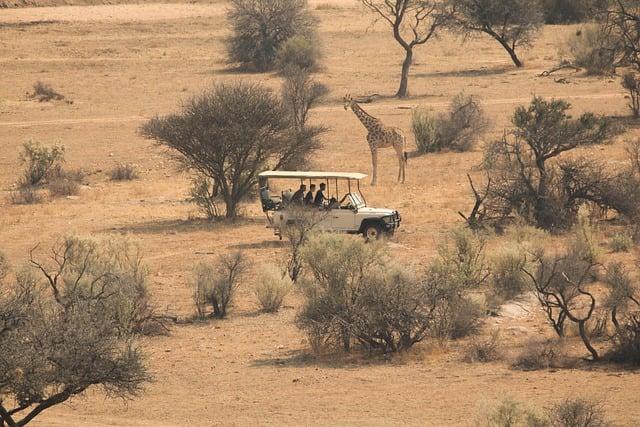 Understanding​ the ⁢Complex Landscape⁤ of Voluntourism in Africa