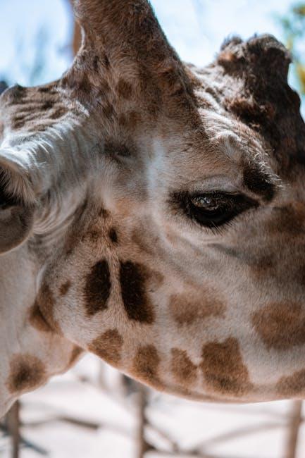Composing the Untamed: Framing Tips for‍ Dynamic Safari⁢ Images