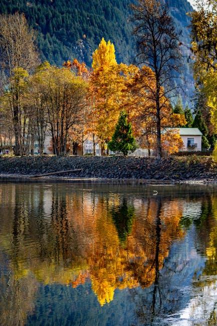 Scenic Serenity: Hot Springs with Breathtaking Views