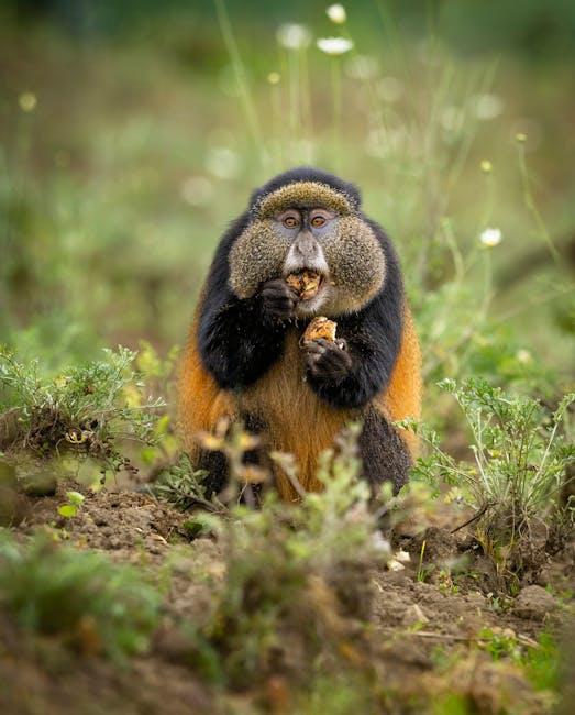 Wildlife⁢ Wonders Encounter Rare Species on Remote Shores