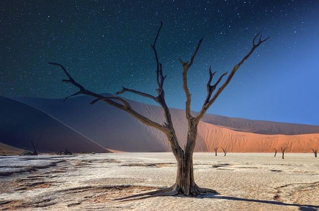 Discover Vibrant ⁢Cultures and​ Timeless Traditions