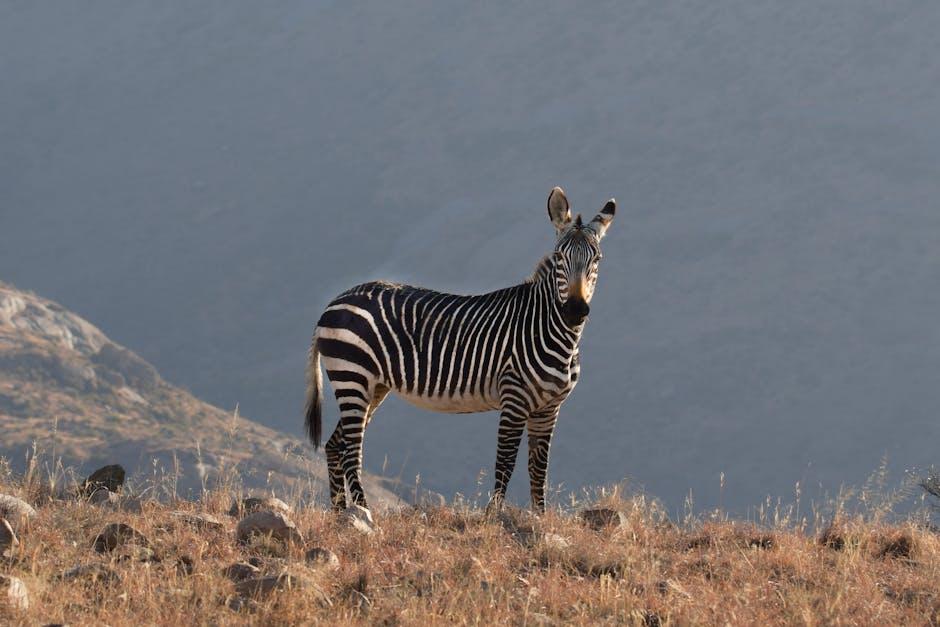 Wildlife Wonders: Key Species to Observe During the ‌Great Migration