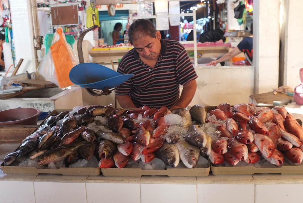 Street Eats: Discovering Mexicos Vibrant Market ⁢Fare