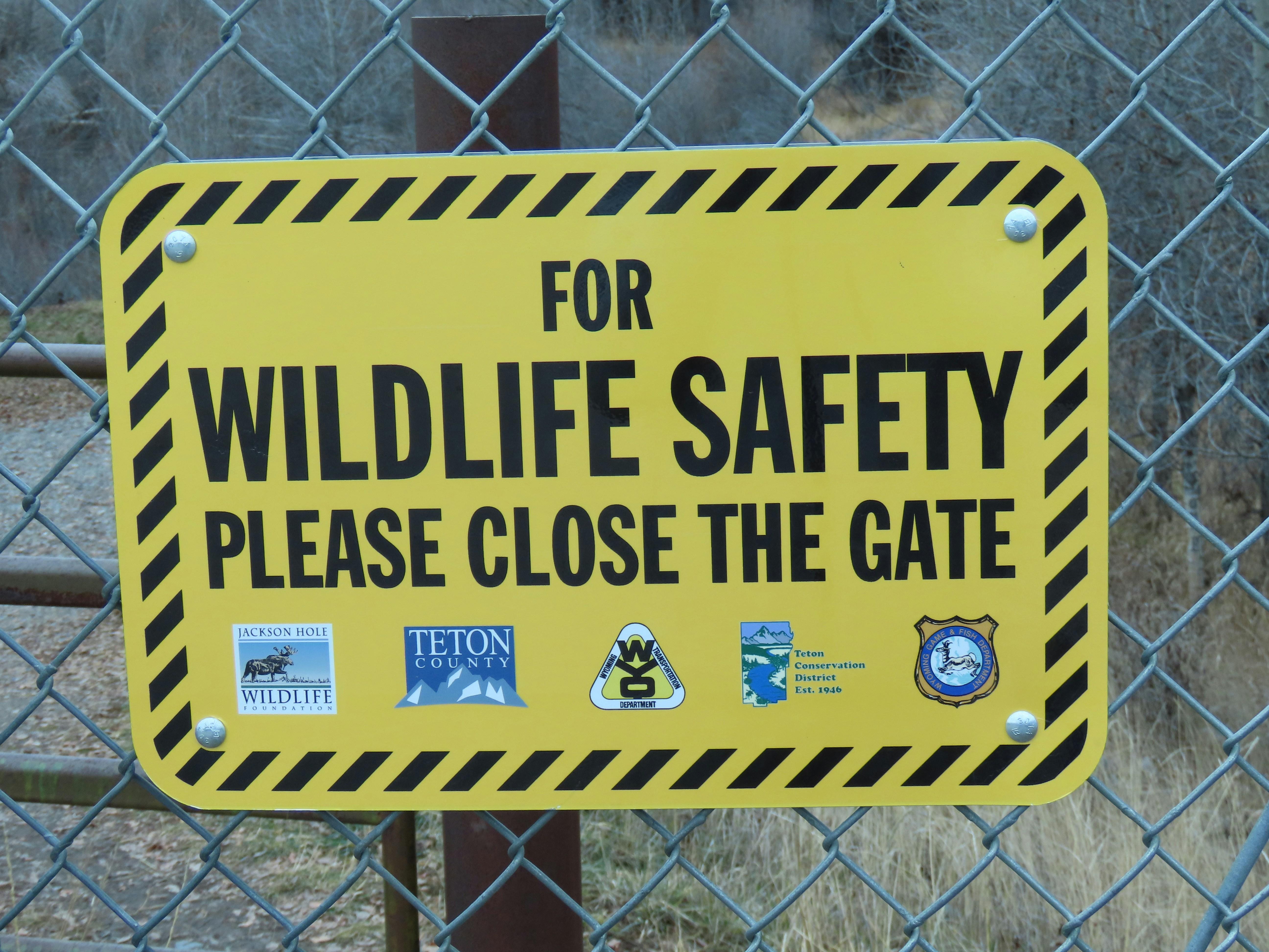 Wildlife Encounters:‍ Respect and Safety Practices