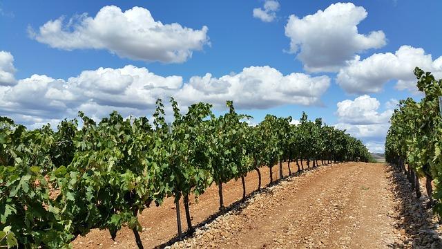 Unveiling Spains ⁤Rioja: A Must-Visit for Wine Enthusiasts