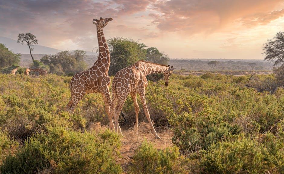 Exploring Kenyas Wilderness⁤ with Kids