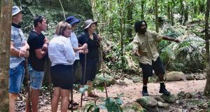 The Role of Tour Operators in Cultural Misrepresentation The Role of Tour Operators in Cultural Misrepresentation