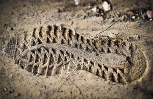 Should Tourists Be Encouraged to Offset Their Carbon Footprint Should Tourists Be Encouraged to Offset Their Carbon Footprint