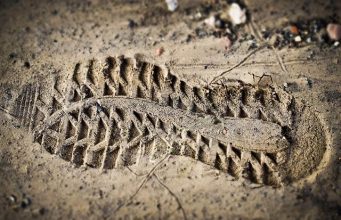 Should Tourists Be Encouraged to Offset Their Carbon Footprint Should Tourists Be Encouraged to Offset Their Carbon Footprint