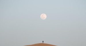 Top Safari Destinations in Africa You Should Visit Top Safari Destinations in Africa You Should Visit