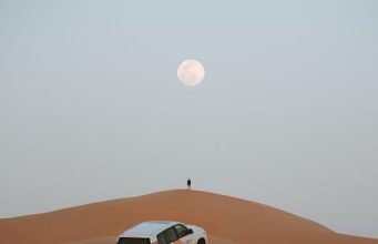 Top Safari Destinations in Africa You Should Visit Top Safari Destinations in Africa You Should Visit