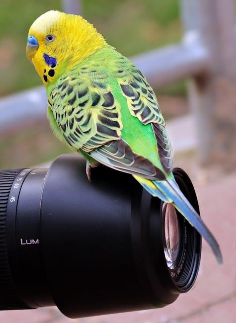 Mastering Light‍ and⁣ Shadow: ‍Techniques for Stunning Wildlife Shots