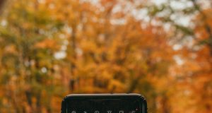 Best places to experience fall foliage in New England Best places to experience fall foliage in New England