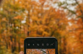 Best places to experience fall foliage in New England Best places to experience fall foliage in New England