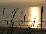 Exploring Scandinavia’s cultural festivals Exploring Scandinavia’s cultural festivals