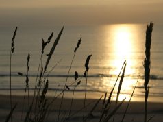 Exploring Scandinavia’s cultural festivals Exploring Scandinavia’s cultural festivals