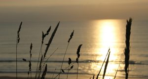 Exploring Scandinavia’s cultural festivals Exploring Scandinavia’s cultural festivals