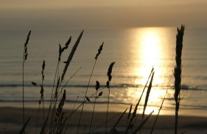 Exploring Scandinavia’s cultural festivals Exploring Scandinavia’s cultural festivals