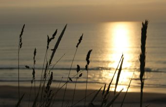 Exploring Scandinavia’s cultural festivals Exploring Scandinavia’s cultural festivals