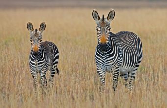 The Most Scenic Hiking Trails in Africa The Most Scenic Hiking Trails in Africa