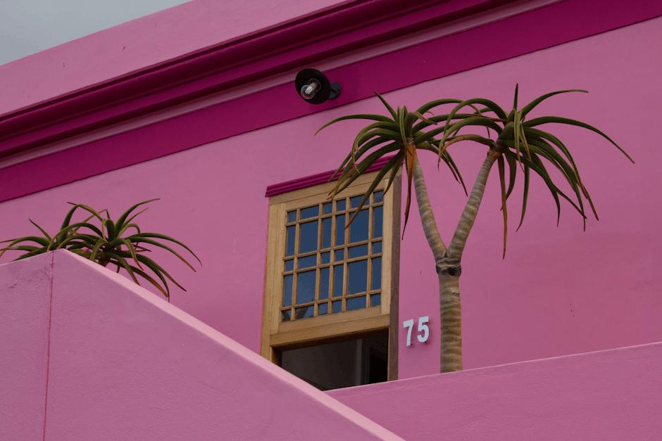 Capturing the Essence: Photography Tips for Iconic African Sites