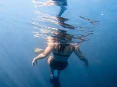 Best scuba diving spots in Mozambique Best scuba diving spots in Mozambique