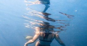 Best scuba diving spots in Mozambique Best scuba diving spots in Mozambique