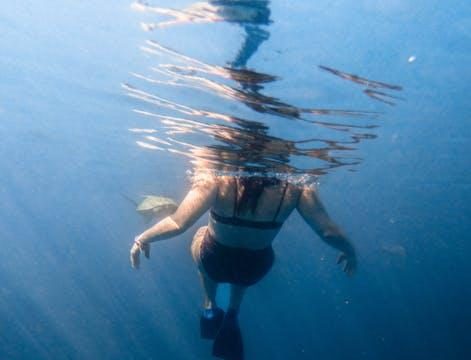 Best scuba diving spots in Mozambique Best scuba diving spots in Mozambique