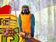 How to Enjoy a Culinary Tour of Western Europe How to Enjoy a Culinary Tour of Western Europe